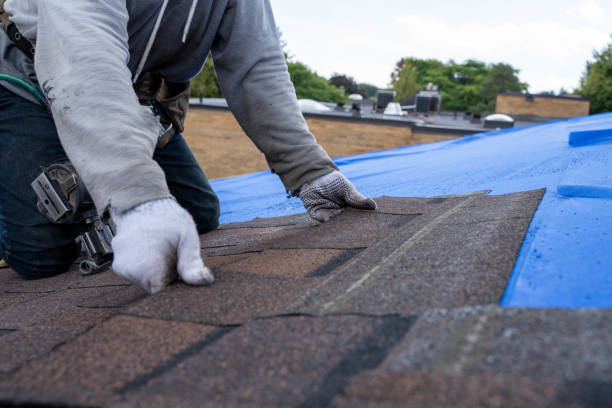 Best Flat Roof Repair Services  in Bolinas, CA